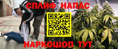 мдпв Ливны