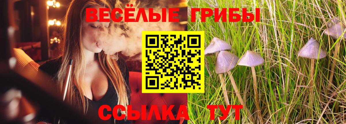 Электрогорск  Псилоцибиновые грибы Psilocybe  Вход с VPN  Галлюциногенные грибы мицелий 